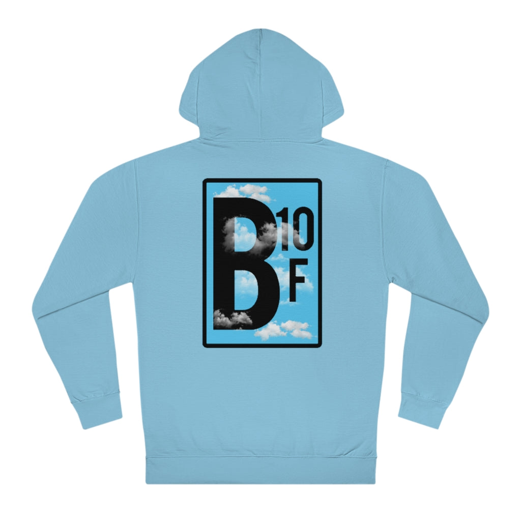 The View Hoodie