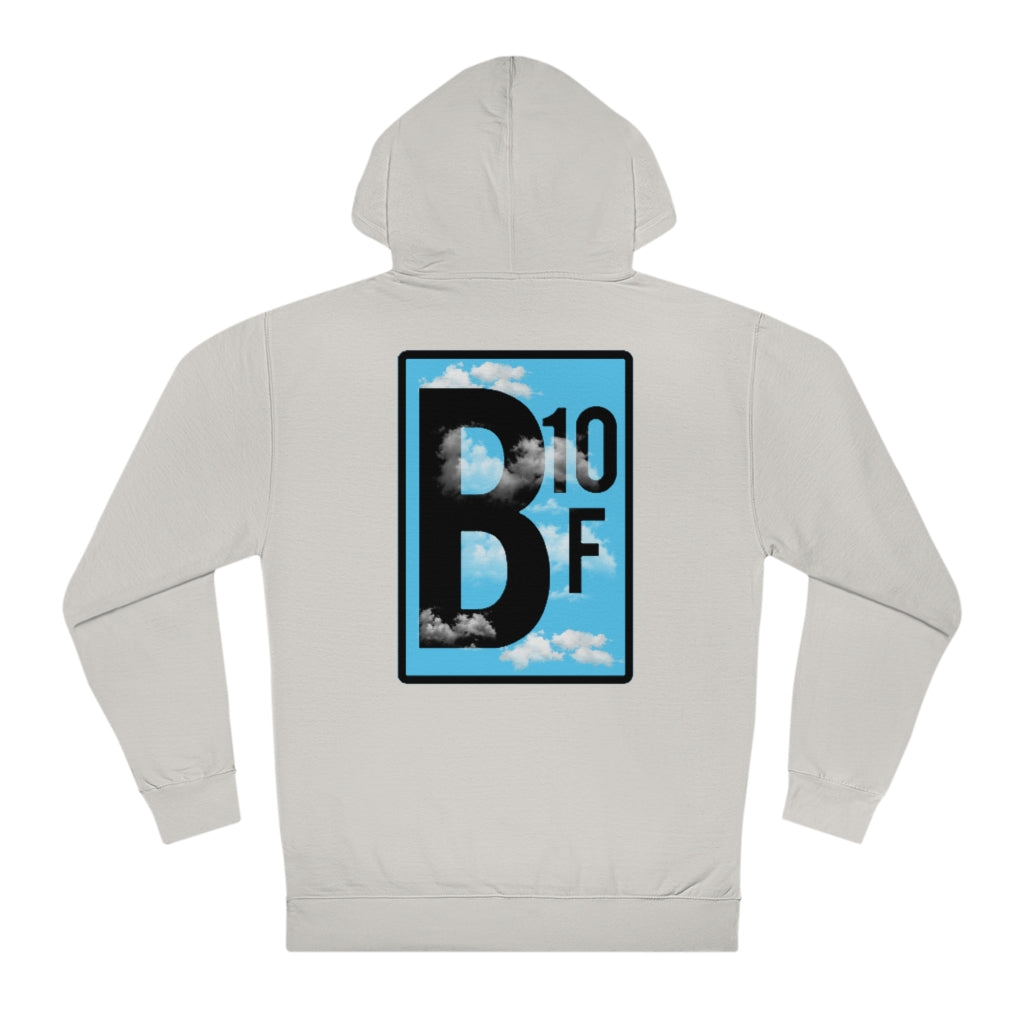The View Hoodie