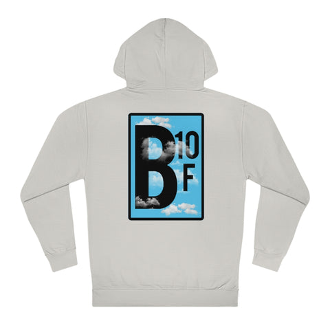 The View Hoodie